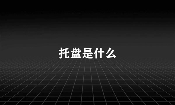 托盘是什么