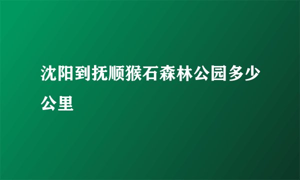 沈阳到抚顺猴石森林公园多少公里