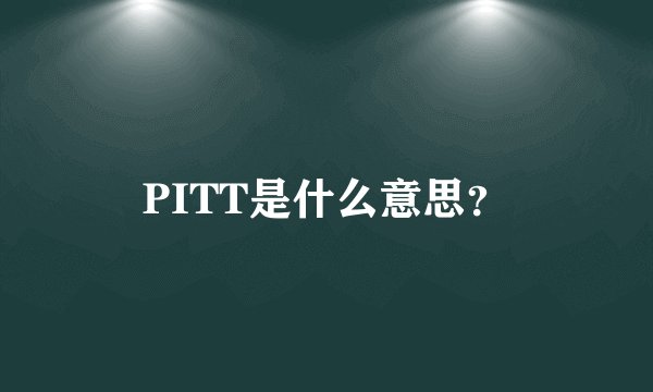 PITT是什么意思？