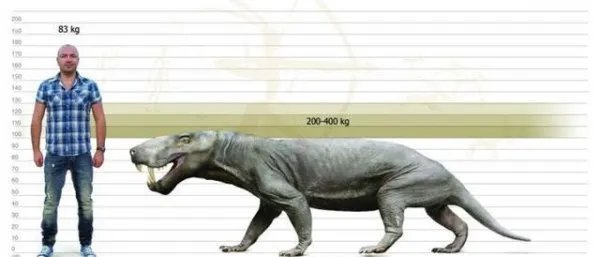 生物界第六次生物大灭绝会在什么时候发生，什么生物会灭绝？