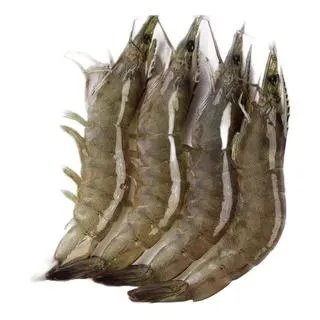 对虾价格多少钱一斤