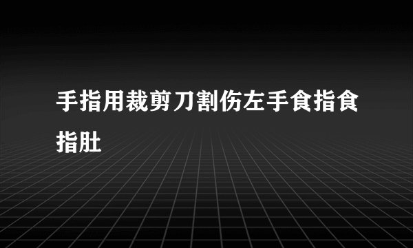 手指用裁剪刀割伤左手食指食指肚