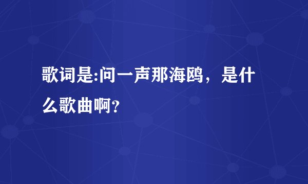 歌词是:问一声那海鸥，是什么歌曲啊？