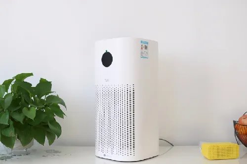 什么可以吸附甲醛