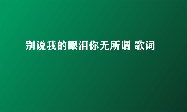 别说我的眼泪你无所谓 歌词