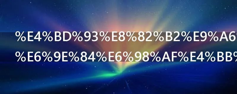 体育馆的结构是什么