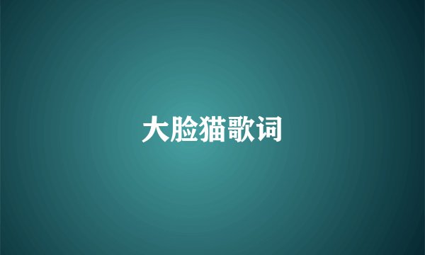 大脸猫歌词