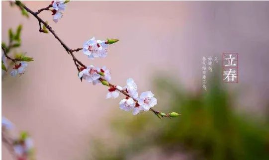 今天几点立春