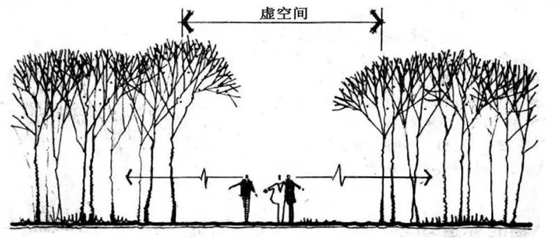 庭院造景植物设计指南