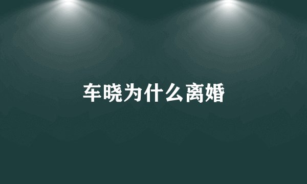 车晓为什么离婚