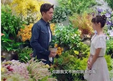 《爱情进化论》翻拍自什么故事？
