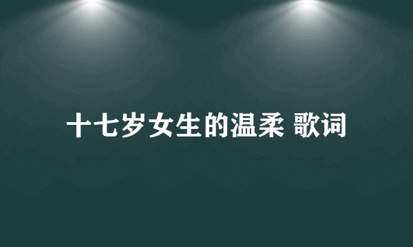 十七岁女生的温柔 歌词