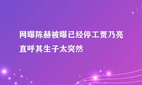 网曝陈赫被曝已经停工贾乃亮直呼其生子太突然