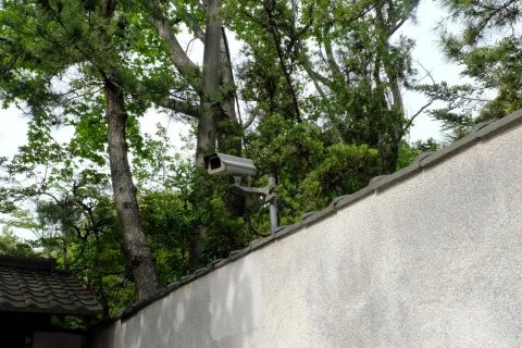 死缓是什么意思