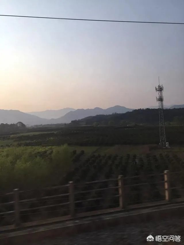 什么是基站,它有什么作用?