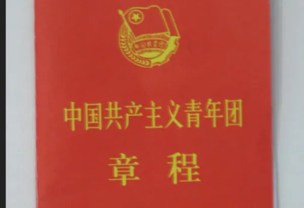 团的章程是什么？