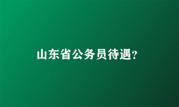山东省公务员待遇？