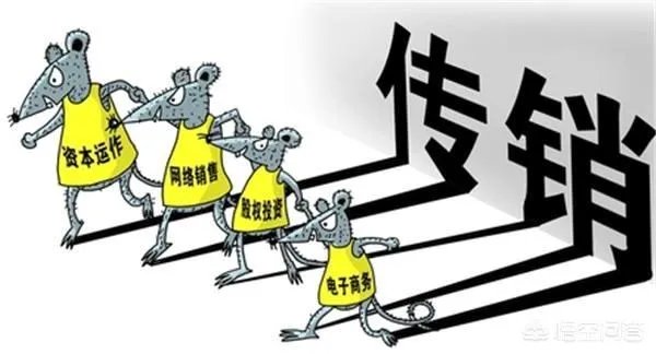 绿叶到底是不是传销？