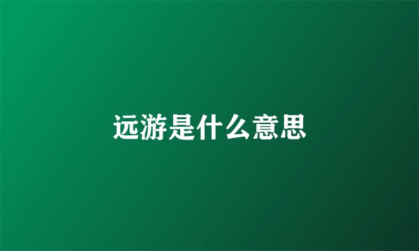 远游是什么意思