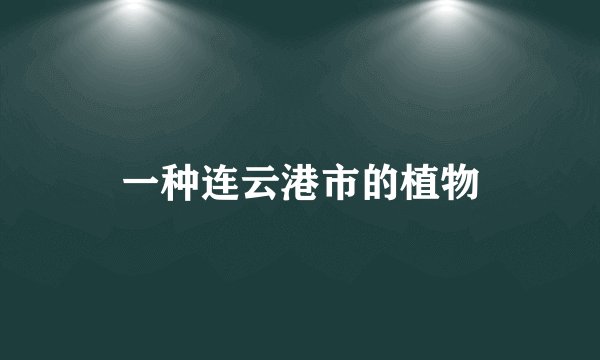 一种连云港市的植物