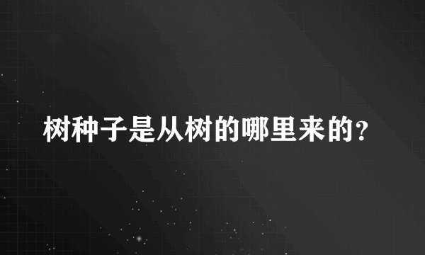 树种子是从树的哪里来的？