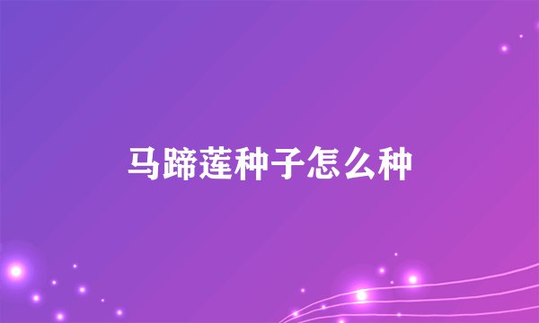马蹄莲种子怎么种