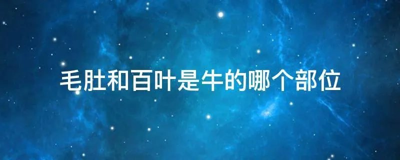 毛肚和百叶是牛的哪个部位