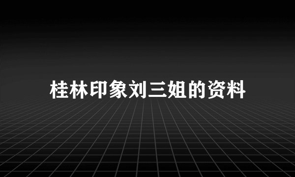 桂林印象刘三姐的资料