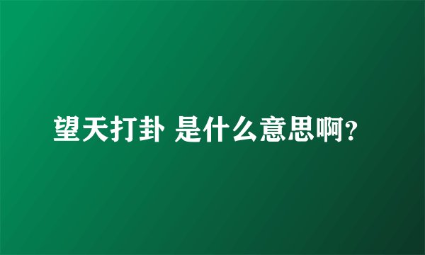 望天打卦 是什么意思啊？