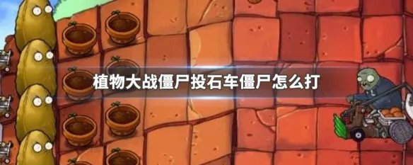 植物大战僵尸投石车僵尸怎么打