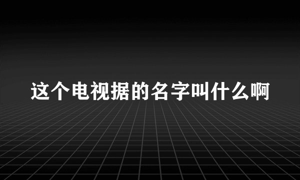 这个电视据的名字叫什么啊