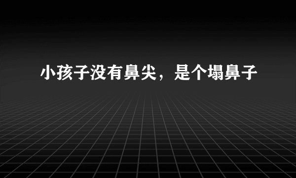小孩子没有鼻尖,是个塌鼻子
