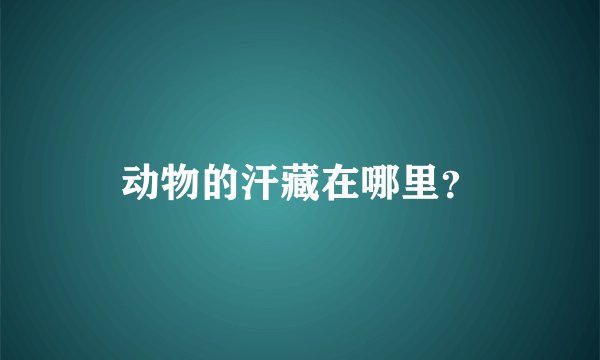 动物的汗藏在哪里？