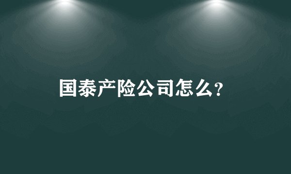 国泰产险公司怎么？
