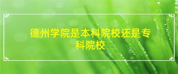 德州学院是本科院校还是专科院校