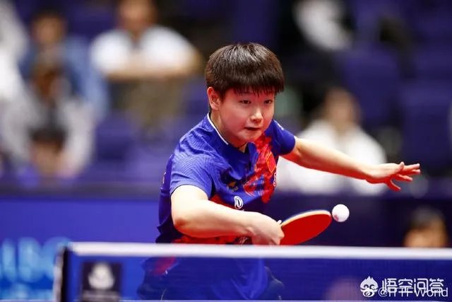 T2联赛新加波站国乒15人受邀参赛，作为商业比赛有必要参赛吗？