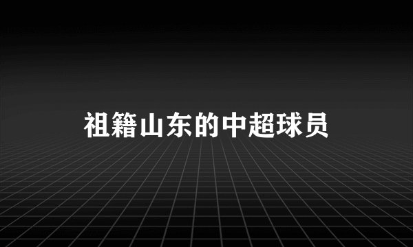 祖籍山东的中超球员