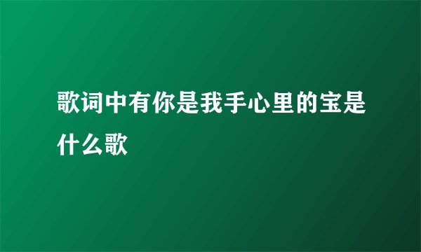 歌词中有你是我手心里的宝是什么歌