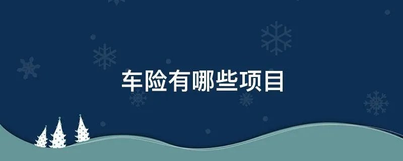 车险有哪些项目