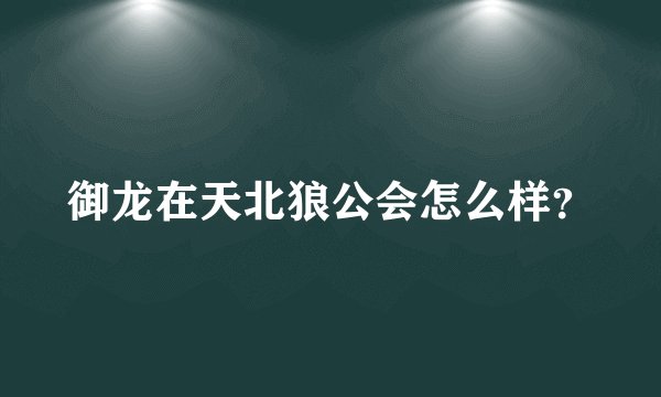 御龙在天北狼公会怎么样？