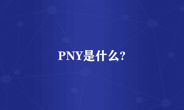 PNY是什么?