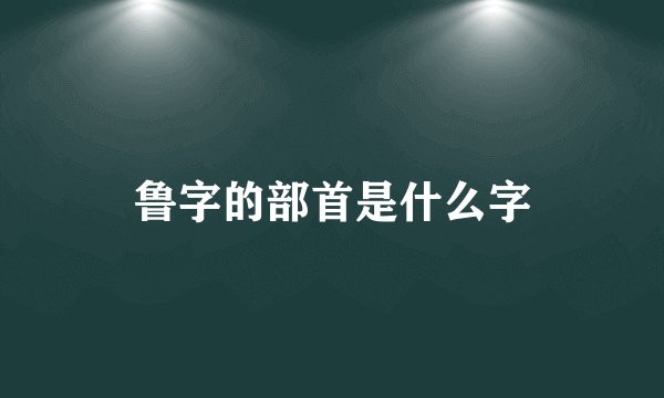 鲁字的部首是什么字