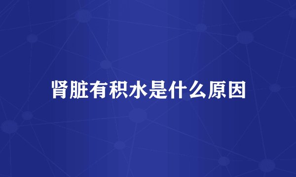 肾脏有积水是什么原因