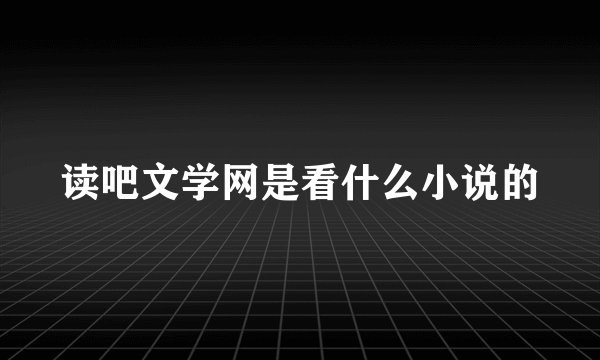 读吧文学网是看什么小说的