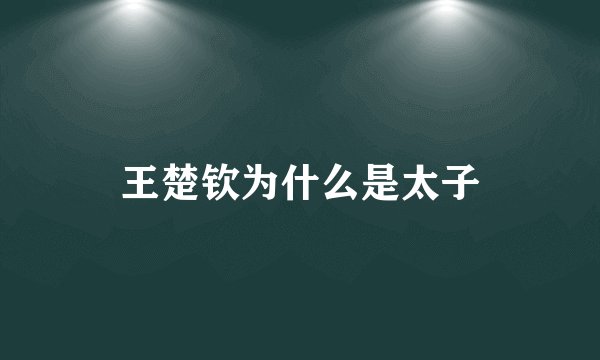 王楚钦为什么是太子