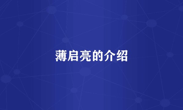 薄启亮的介绍