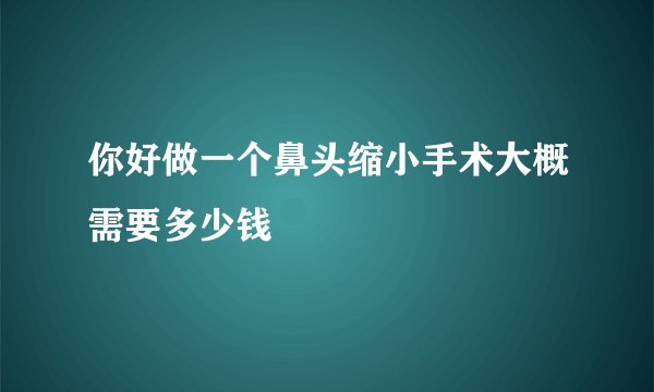 你好做一个鼻头缩小手术大概需要多少钱