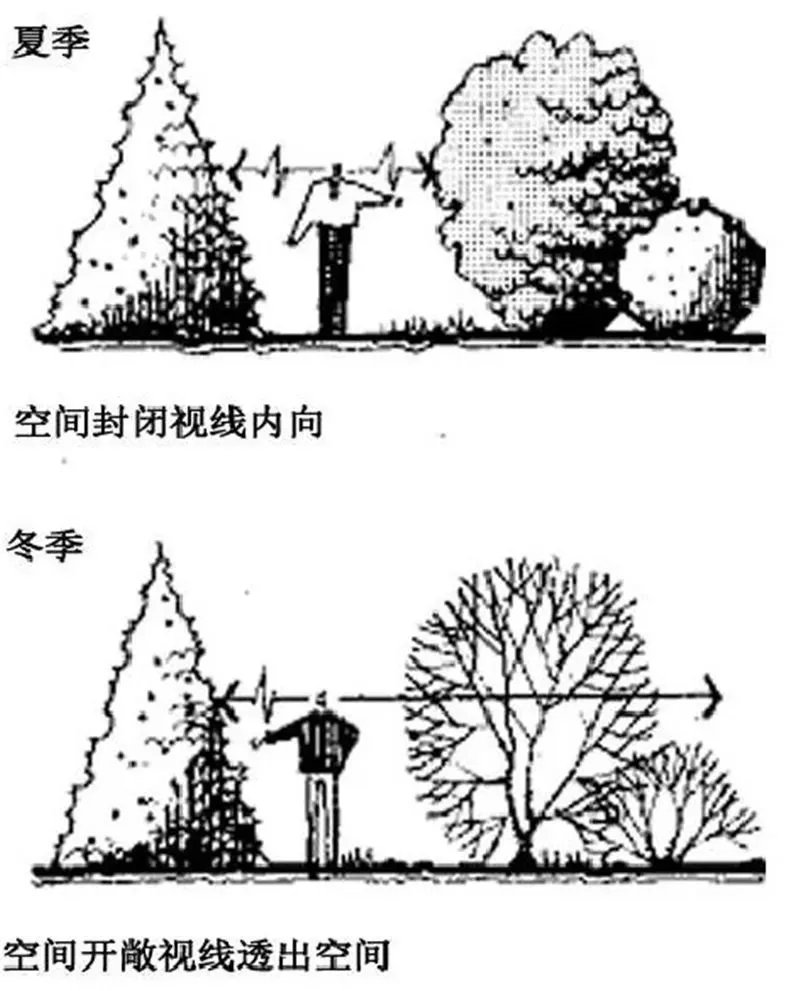 庭院造景植物设计指南