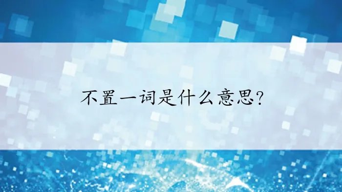 不置一词是什么意思？
