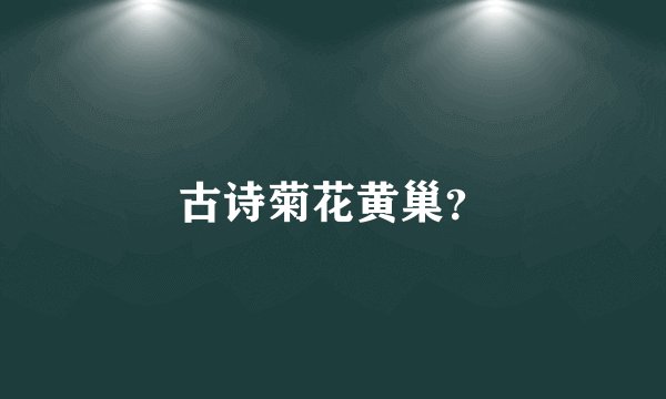 古诗菊花黄巢？